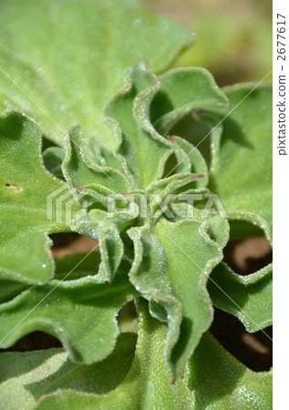 冰廠 冰廠 2677617