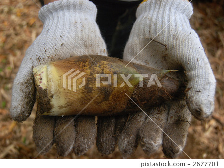 身體部位 工作手套 棉手套 2677701