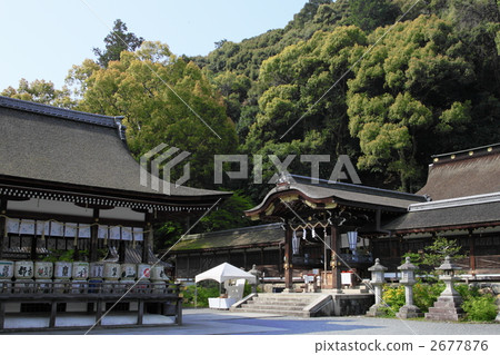 松尾大社 2677876