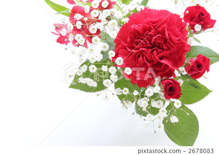 康乃馨,玫瑰和Alstromeria(側身)的安排 康乃馨,玫瑰和Alstromeria(側身)的安排 2678083