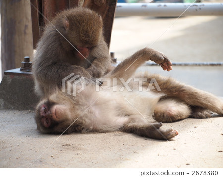 放鬆時間 2678380