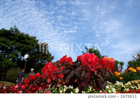 鶴見緑地 大阪市 紅葉 2678811