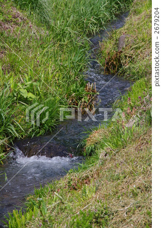 Sagori of Ogawa stream of spring Sagori of Ogawa stream of spring 2679204