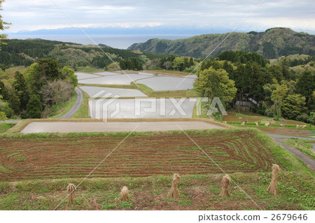 Rice terrace in Himi-shi Nagasaka Rice terrace in Himi-shi Nagasaka 2679646