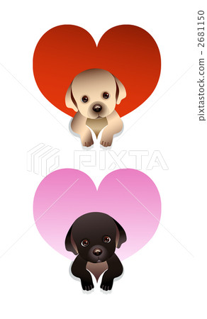 拉布拉多半島 小狗 毛孩 2681150