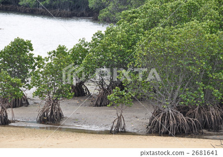 福井河Hirugi社區 2681641