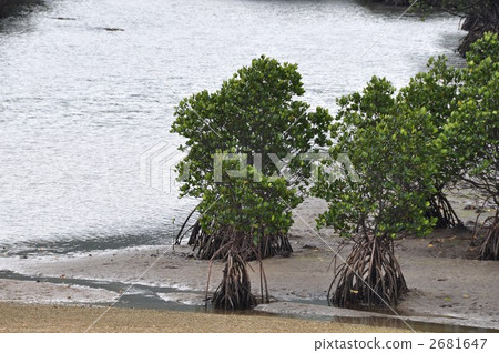 福井河Hirugi社區 2681647