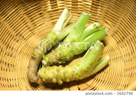 Wasabi Wasabi 2682798