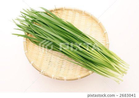 Nira (1 bunch) 2683041