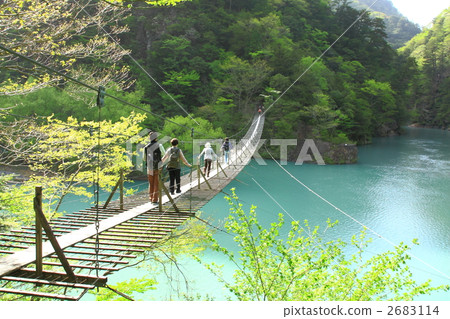 Suspension bridge of a dream - slant 2 2683114