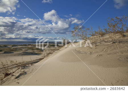 尼塔的Kurushu沙洲 2683642