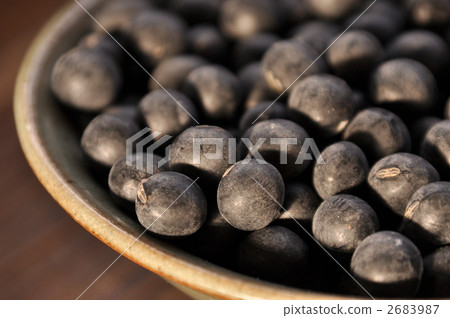 Tanba black soybean 2683987