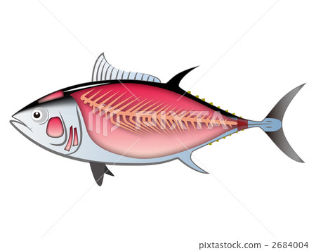 金槍魚拆卸圖 2684004