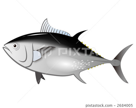 藍鰭金槍魚（書金槍魚） 2684005