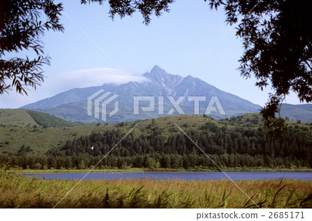 Otatomari marsh Otatomari marsh 2685171