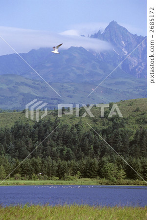 Otatomari marsh 2685172