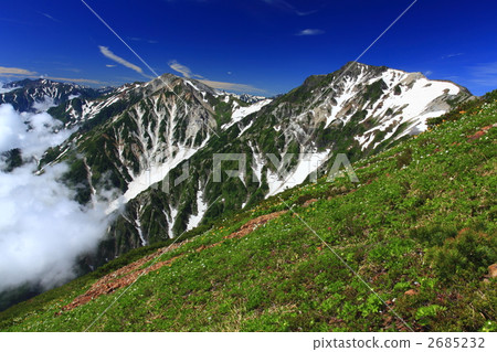 夏白馬白山 2685232