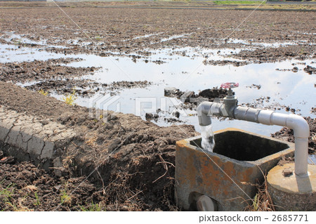 Prepare for rice planting 2685771