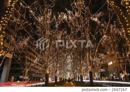 Pageant of light 2687267