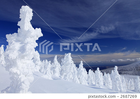 A tree A tree 2687269