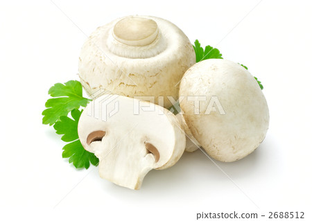 White mushroom 2688512