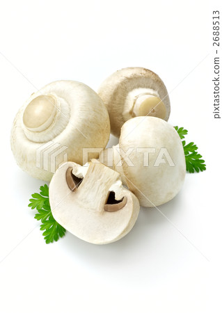 White mushroom 2688513