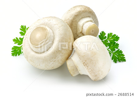 白蘑菇 2688514