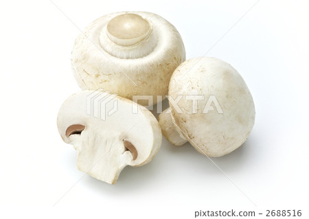 白蘑菇 2688516
