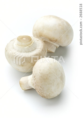 白蘑菇 2688518