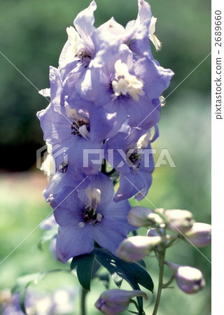 65515 Hyenso 2689660