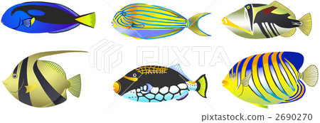 Tropical fish Tropical fish 2690270