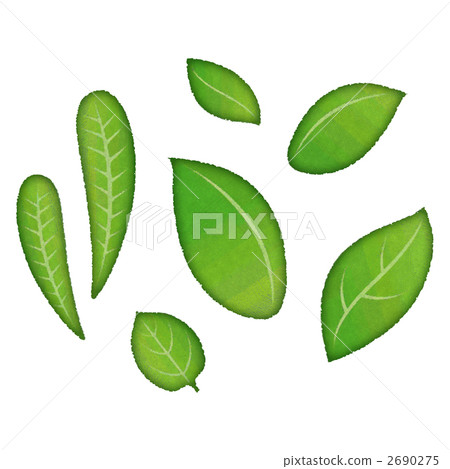 tree leaves, leaf, leafs 2690275