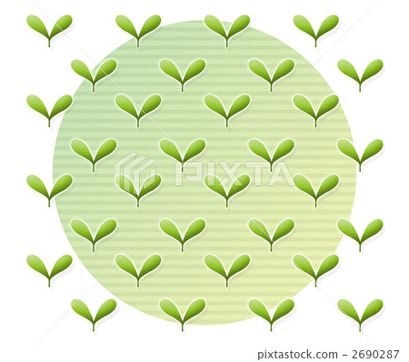 sprout, bud, sprouts 2690287