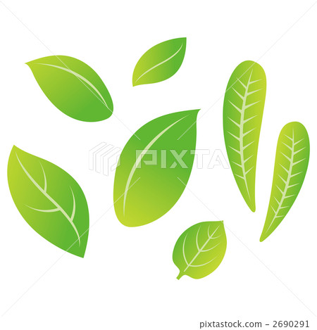 Leaf Leafs Leaves Stock Illustration 2690291 Pixta