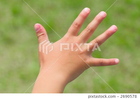 一個男孩的手 2690578