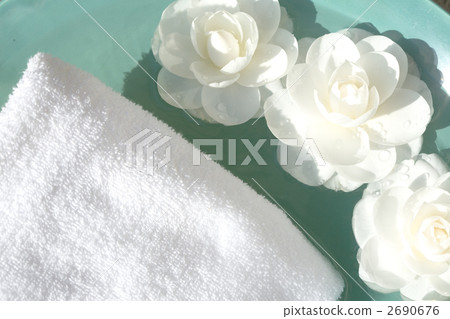 白色山茶花 花朵 花 2690676