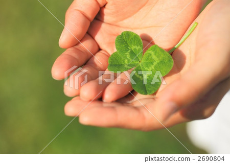 four Leaf Clover  2690804