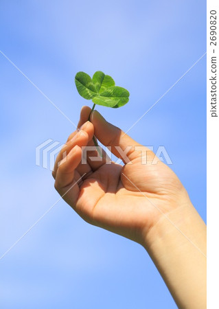 four Leaf Clover  four Leaf Clover  2690820