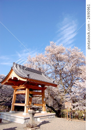 Moganeji寺的盆景和櫻花 2690961