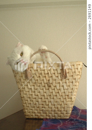 Cute daughter 2691149