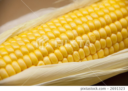 粒狀玉米 粒狀玉米 2691323