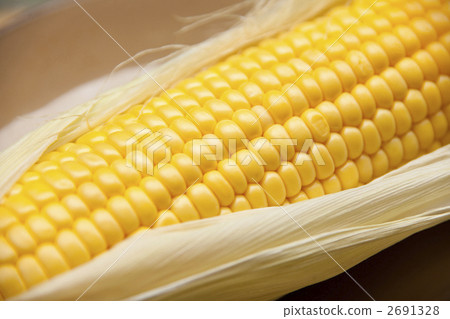 Grainy corn 2691328