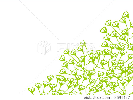 Flowers 2691437