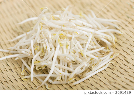 豆芽 2691489