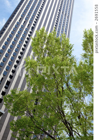 新宿中心大廈在新鮮的綠色和藍天上升 2691558