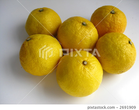 Sweet Harvest Moon Sweet Harvest Moon 2691909