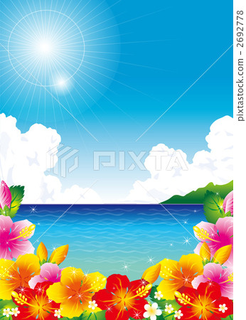 Hibiscus Hibiscus 2692778