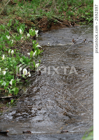 Togakushi森林公園水basho Togakushi森林公園水basho 2692897