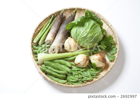 Group picture of spring vegetables 2692997