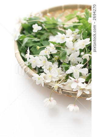 Nilin saws served in monkeys 2694270